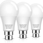 Bulbs, Bayonet, Cold White